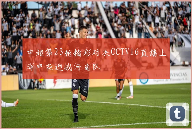 中超第23轮精彩对决CCTV16直播上海申花迎战河南队