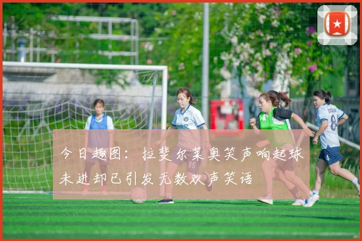 今日趣图：拉斐尔莱奥笑声响起球未进却已引发无数欢声笑语